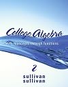 College Algebra: Concepts Through Functions (2nd Edition) (Sullivan Concepts Through Functions Series)