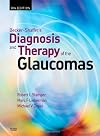 Becker-Shaffer's Diagnosis and Therapy of the Glaucomas
