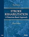 Stroke Rehabilitation: A Function-Based Approach