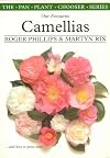 Our Favorite Camellias