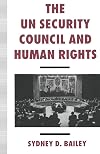 The UN Security Council and human rights