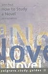 How to Study a Novel (How to Study Literature)