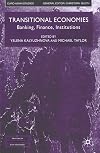 Transitional Economics: Banking, Finance, Institutions (Euro-Asian Studies)
