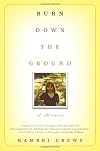 Burn Down the Ground: A Memoir