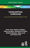 Consumption Corridors: Living a Good Life within Sustainable Limits (Routledge Focus on Environment and Sustainability)