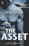 The Asset (A Wounded Warrior Novel)