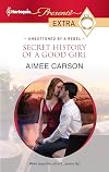 Secret History of a Good Girl
