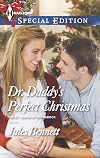 Dr. Daddy's Perfect Christmas (The St. Johns of Stonerock)