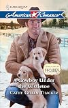 A Cowboy Under the Mistletoe