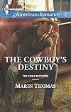 The Cowboy's Destiny
