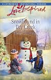 Snowbound in Dry Creek