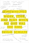 Overwhelmed: Work, Love, and Play When No One Has the Time