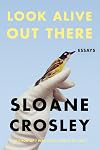 Look Alive Out There: Essays