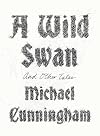 A Wild Swan and Other Tales