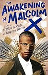 The Awakening of Malcolm X: A Novel
