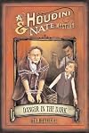 Danger in the Dark: A Houdini & Nate Mystery (Houdini and Nate Mysteries)