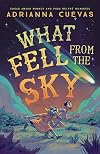 What Fell from the Sky