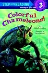 Colorful Chameleons!