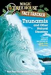 Tsunamis and Other Natural Disasters: A Nonfiction Companion to High Tide in Hawaii