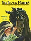 Big Black Horse