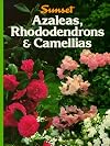 Azaleas, Rhododendrons & Camellias