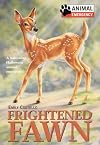 Frightened Fawn