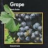 Grape