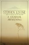 A Gradual Awakening