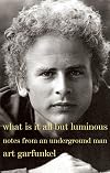 What Is It All but Luminous: Notes from an Underground Man
