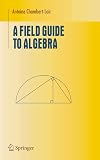 A Field Guide to Algebra