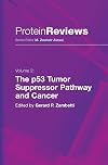 The p53 Tumor Suppressor Pathway and Cancer (Protein Reviews, Vol. 2)