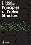 Principles of Protein Structure (Springer Advanced Texts in Chemistry)