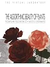 The algorithmic beauty of plants