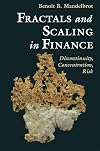 Fractals and Scaling in Finance: Discontinuity, Concentration, Risk
