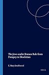 The Jews Under Roman Rule: From Pompey to Diocletian : A Study in Political Relations (Vol 20)