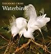 Waterbirds