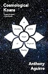 Cosmological Koans: A Journey to the Heart of Physical Reality