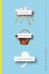 Picnic Comma Lightning: The Experience of Reality in the Twenty-First Century