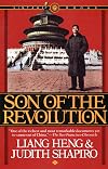 Son of the Revolution