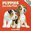 Puppies Are Like That!