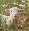 The Little Lamb
