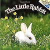 The Little Rabbit