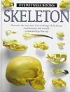 Skeleton (Eyewitness Books)