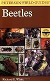 Beetles : A Field Guide to the Beetles of North America
