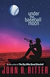 Under The Baseball Moon