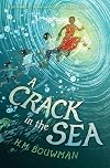 A Crack in the Sea