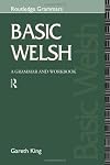 Basic Welsh: A Grammar and Workbook