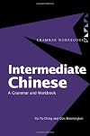 Intermediate Chinese: A Grammar and Workbook
