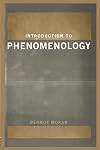 Introduction to Phenomenology