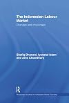 The Indonesian labour market